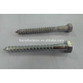 DIN571 / Hex Head Wood Screw, HDG Self Tapping Wood Screwd / zinc plaqué à bois classe 6.8 / 8.8